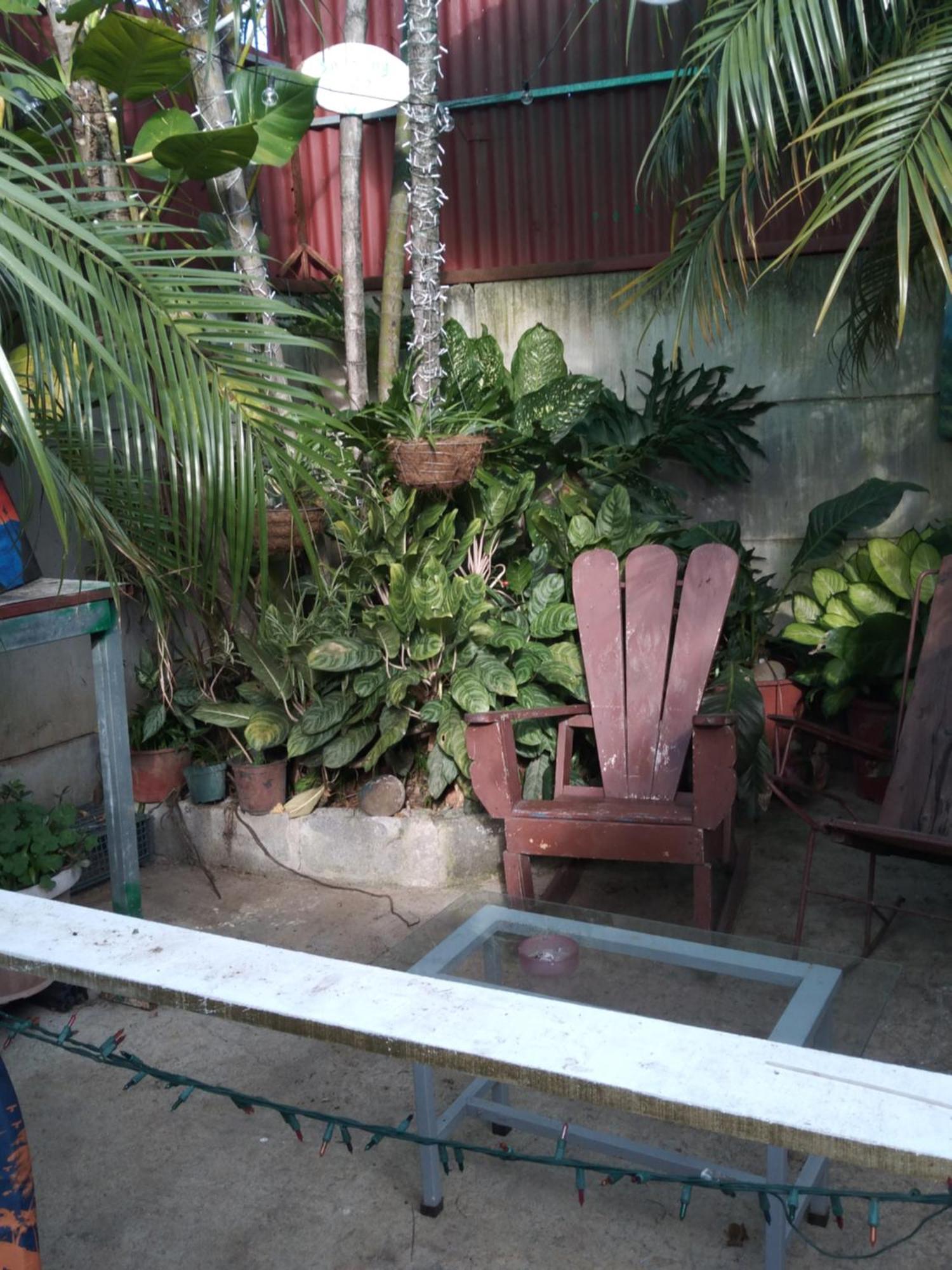 Alexander b&b Alajuela Exterior foto
